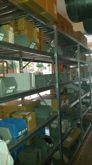 a bunch of orange flowers