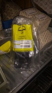 a garden/jungle thing